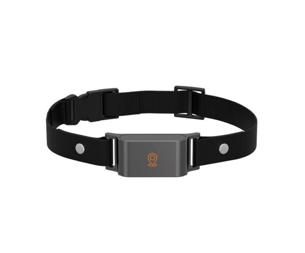 Collier Traceur GPS 4G Royaltenic C09 pour animaux, design élégant et étanche, suivi en temps réel pour chiens et chats.